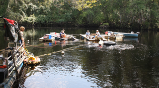 Archaeologists working on the surface above the Page-Ladson site. (Image: B. Fenerty)
